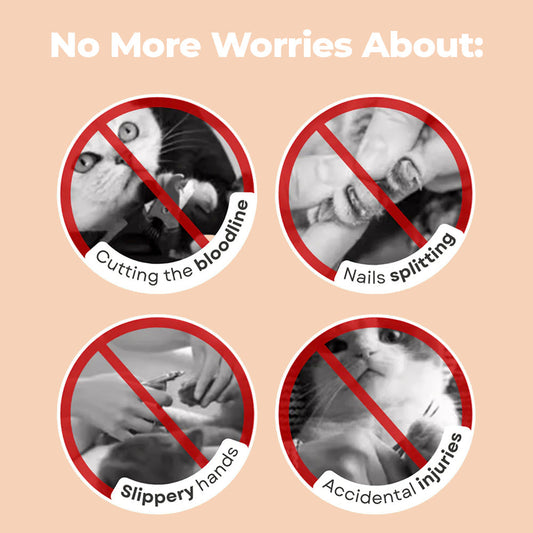 2 in 1 Nail Trimmer & Grinder