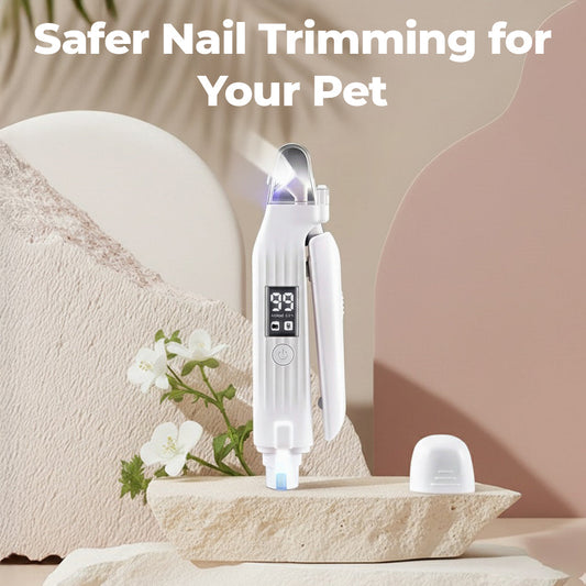 2 in 1 Nail Trimmer & Grinder